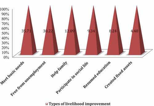 Figure 2. Types of livelihood improvements of the informal sector participants.