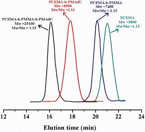 Figure 2 GPC curves of polymers with cinnamate moieties: PCEMA, PCEMA-b-PMMA, PCEMA-b-PMAdU, and PCEMA-b-PMMA-b-PMAdU.