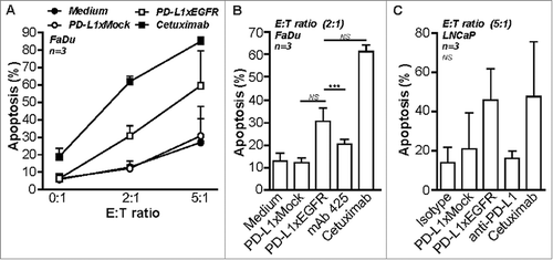 Figure 5. PD-L1xEGFR induces NK-cell mediated ADCC (A) FaDu cells were mixed with IL-12-pre-treated NK cells at the indicated E:T ratios and in the presence of 5 µg/ml PD-L1xEGFR or control antibodies. (B) FaDu cells were co-cultured with IL-12-pretreated NK cells at an E:T ratio of 2:1 as described in A. (C) LNCaP cells were mixed with PBMCs at an E:T ratio of 5:1 in the presence of 5 µg/ml PD-L1xEGFR or control antibodies. In all experiments apoptosis was determined by flow cytometry using Annexin-V staining procedure. All graphs represent mean ± SD. Statistical analysis in B and C were performed using One-way ANOVA followed by a Bonferroni post-hoc test (*p < 0.05, ** p < 0.01, *** p < 0.001, ns not significant).