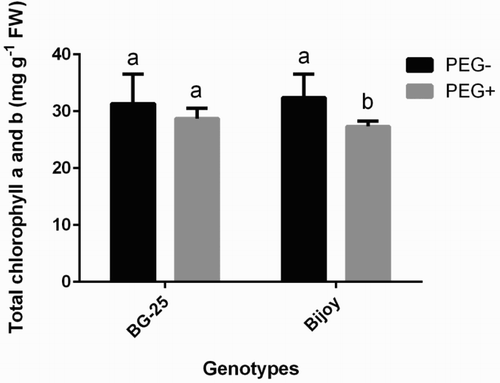 Figure 2. Chlorophyll concentrations (a and b) in leaves of BG-25 and Nijoy grown in PEG– and PEG+ hydroponic culture. Values are the means of three independent replications with standard deviations. Different letters indicate significant differences between means±SD of treatments (n = 3). Leaves were harvested from 2-week old plants.