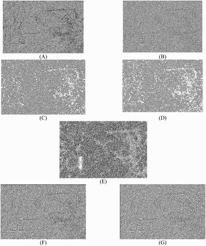 Figure 11. St. John’s: ratio images resulted from: (A) the 5 × 5 average filtered image, (B) the 5 × 5 MMSE (Lee Citation1980, Citation1981a) filtered image, (C) the 5 × 5 enhanced Lee (Lopes, Touzi, and Nezry Citation1990) filtered image, (D) the 5 × 5 Gamma (Lopes et al. Citation1993) filtered image, (E) PPB (Deledalle, Denis, and Tupin Citation2009) filtered image with hw = 10, hd = 3, and 4 iterations, (F) average filtered image with adaptive window size, and (G) MMSE filtered image with adaptive window size from the San Francisco image.