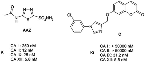Figure 1. The pan-inhibitor of CAs acetazolamide (AAZ) and its inhibition constants against isoforms CA I, II, IX and XII, and the newly developed, isoform-selective Coumarin inhibitor C, and its inhibitory activity against the same isoforms.