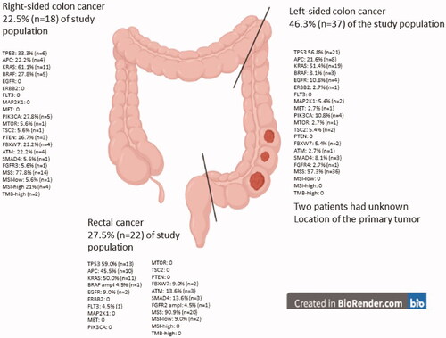 Figure 1. Genomic sequencing results for right- and left-sided colon cancer, as well as for rectal cancer. Results of microsatellite instability and stability based on primary tumor location are added.