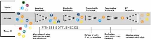 Figure 1. Transmission bottlenecks