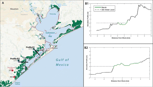 Figure 2. Spatial heterogeneity in the protective value of marsh habitats. (A) Sample percent levee height reductions due to the presence of marshes near Freeport (red boxes; Reddy et al. Citation2016), and West Bay (blue boxes; adapted from Guannel et al. Citation2014), Texas as indicated by the InVEST Coastal Protection model. Percent reduction values were calculated by taking the difference in levee heights required to protect communities in the presence and absence of marsh habitats. In Freeport (red boxes), levee heights were computed to protect against a 100-year storm, the only magnitude storm that can reach the Dow Chemical facility. In West Bay, levee heights were computed to protect against a category 3 hurricane, a storm magnitude of greatest interest to decision makers. (B) Bathymetry and topography contribute to different protective values of wetlands in West Bay, Texas (adapted from Guannel et al. Citation2014). Elevation profiles 1 and 2 depict the footprint of marsh (green) and surge level during modeled storms (thin black line). The more gradual elevation change and greater marsh extent in profile 2 offers a greater opportunity for marsh habitat to reduce levee height for equivalent storm protection (50% reduction in levee height) as compared to the steeper gradient in profile 1 (15% reduction in levee height).