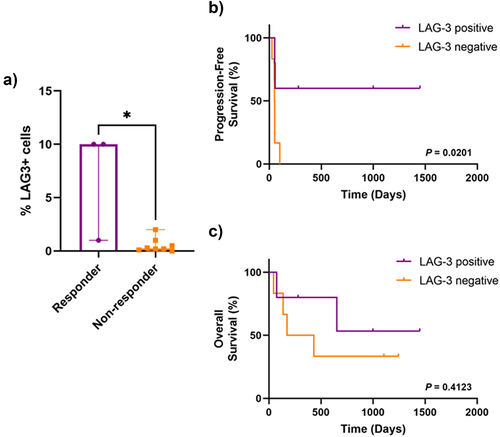 Figure 4. LAG-3 expression in anti-PD-1 refractory patients.