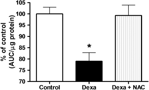 Figure 3. Effects of Dexa and NAC treatment on pancreatic islet cell viability. Islets were treated with 1 µmol/l of dexamethasone for 72 hours in the presence or absence of 1 mmol/l of NAC. NAD(P)H production, as an indicator of viability, was accessed using the MTS method. N = 5. *P < 0.05; ANOVA followed by Bonferroni.