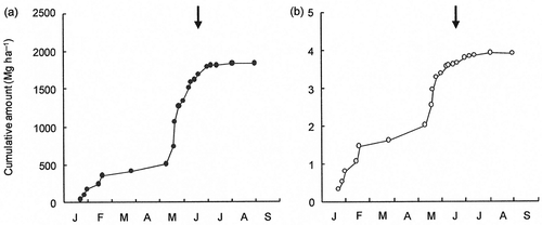 Figure 5. Cumulative amount of trapped (a) soil particles and (b) coarse organic matter (COM) in a hectare of fallow band. Arrows represent the sowing date (on June 19, 2008). Pearl millet was harvested at the middle of October.