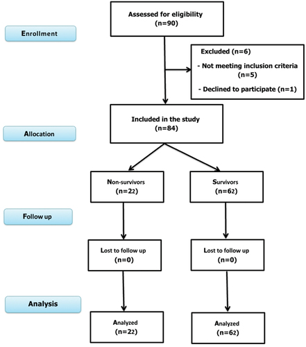 Figure 1. CONSORT flow diagram of the study process.