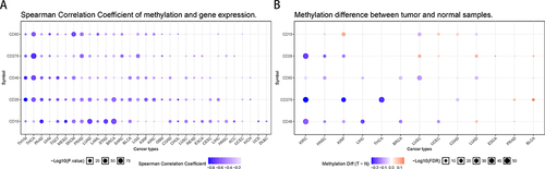 Figure 4 Methylation levels of CD19 in human cancers. (A) Relationship between CD19 mRNA expression and DNA methylation across 33 different types of cancer. (B) Evaluation of CD19 DNA methylation differences between tumor and normal tissues in 13 different types of cancers using the GSCALite platform.