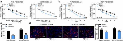 Figure 6. Inhibition of the PI3K/Akt signaling pathway enhances the sensitivity of BC cells to TMX. A-D, cell viability and growth were detected by MTT (a-b), colony formation (c) and EdU labeling (d) assays. Repetition = 3. Data were exhibited as the mean ± SD. In all panels, data were analyzed by two-way ANOVA followed by Tukey’s multiple comparison test. *, p < 0.05