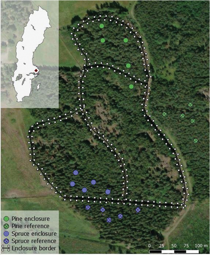 Figure 1. Map of the study area with wild boar enclosures (filled circles) and reference areas (crossed circles) in a pine forest (green) and spruce forest (blue). Black lines with white dots indicate the fences. A minor gravel road divides the pine forest enclosure from the pine reference area.