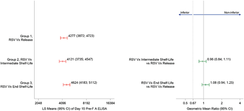 Figure 2. RSV-A pre F IgG serum antibody response at day 15 – Assessment of noninferiority.