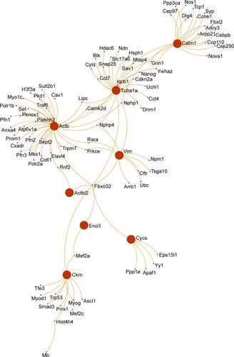 Figure 8 Protein network for 28-day follow-up of exposure.