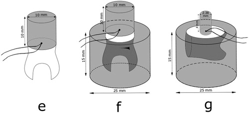 Figure 2. Test specimen assemblies named e, f, and g, with thermocouples placed in the centre radius between tooth and composite.