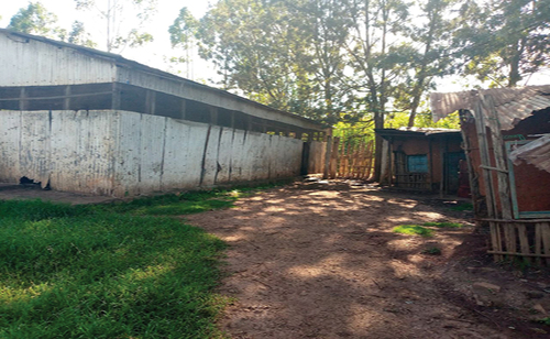 Figure 6. Existing abattoir surround.