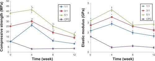 Figure 2 Compressive strength and the elastic modulus (n = 5).Note: *Significance at P < 0.05.Abbreviations: n, number; MPa, compressive strength; GPa, elastic modulus.