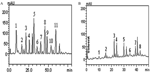 Figure 3. Representative of high performance liquid chromatography profile A. almond leaf; Gallic acid (peak 1), catechin (peak 2), chlorogenic acid (peak 3), caffeic acid (peak 4), ellagic acid (peak 5), epicatechin (peak 6), rutin (peak 7), quercitrin (peak 8), isoquercitrin (peak 9), quercetin (peak 10) and kaempferol (peak 11) B. almond stem bark; Gallic acid (peak 1), catechin (peak 2), caffeic acid (peak 3), ellagic acid (peak 4), resveratrol (peak 5), rutin (peak 6), quercetin (peak 7) and kaempferol (peak 8).