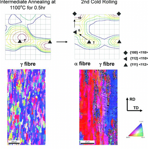 Figure 6 Texture change by the second 70% cold-rolling after intermediate annealing at 1100°C (ϕ2 = 45° section of ODF)