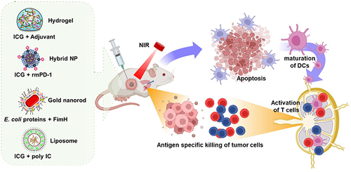 Figure 4 Photoimmunotherapy for treatment of tumor and its metastasis by nanomaterials. Data from these studies.Citation102–107