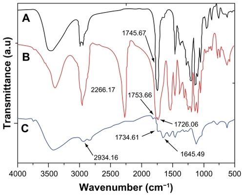 Figure 4 Fourier transform infrared absorption spectra of (A) PLLA, (B) isophorone di-isocyanate-PLLA-isophorone di-isocyanate, and (C) poly(ester amine) copolymer.Abbreviation: PLLA, poly(L-lactide).
