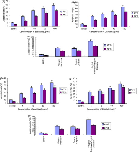 Figure 4. The apoptotic rate of OS cell lines at 43 °C for 1 h measured by FCM. (A) Apoptotic rate of OS732 treated with different concentrations of paclitaxel. (B) Apoptotic rate of OS732 treated with different concentration of cisplatin. (C) Apoptotic rate of OS732 treated with combination of 10 μg/mL paclitaxel and 5 μg/mL cisplatin. (D) Apoptotic rate of MG63 treated with different concentration of paclitaxel. (E) Apoptotic rate of MG63 treated with different concentration of cisplatin. (F) Apoptotic rate of MG63 treated with combination of 10 μg/mL paclitaxel and 5 μg/mL cisplatin.