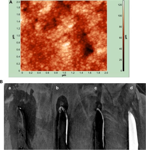 Figure 6 Characterization of coating and antibacterial activity of CSNPs and PBSNPs against Pseudomonas aeruginosa PAOI.Notes: (A) AFM image of PBSNPs coated on surgical blade, (B) antimicrobial assay displaying the antimicrobial activity of (a) blade coated with PBSNPs, (b) blade coated with CSNPs, (c) blade coated with PBSNPs followed by proteinase K treatment, and (d) uncoated blade against Pseudomonas aeruginosa PAO1. Zone of inhibition is observed surrounding the blade.Abbreviations: AFM, atomic force microscopy; PBSNPs, polymyxin B-capped silver nanoparticles; CSNPs, citrate-capped silver nanoparticles.