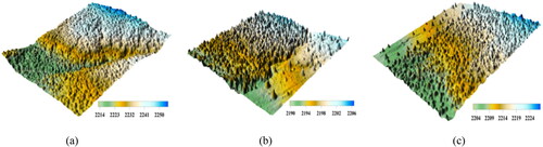 Figure 7. Digital surface models of the three samples.