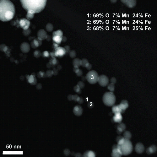 FIG. 7 XEDS analysis of welding fume particles, showing the atomic percent of oxygen, manganese, and iron in three primary particles of different size.