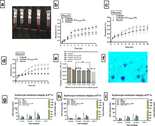 Figure 3. (a). Indicates the visual compirison of humna blood after incorporation of Gefitinib, Gefitinib loaded PCL nanoparticles, placebo in human blood, in the presence of positive and negative control. (b–d). Indicates, Haemolysis (%) profile of Gefitinib, Placebo, Gefitinib PCL10,000NPs, Gefitinib PCL45,000NPs, Gefitinib PCL80,000NPs after individual 100 µg/mL treatment. (e). The number of platelets counts after treatment with Phosphate buffer solution, Gefitinib, Placebo, Gefitinib PCL10,000NPs, Gefitinib PCL45,000NPs, Gefitinib PCL80,000NPs at different concentrations (10, 50 and 100 µg/mL) as per Bonferroni’s multiple comparisons test (values are represented as mean ± SD (n = 3)), *** indicates high statistical significance (p < 0.001) and # indicates insignificance (p = 0.245) as compared to the different concentrations of Gefitinib all the formulations were compared against with treated controlled group (Gefitinib treatment). (f) Light microscopy images of platelets with different treatments at prescribed concentration. (g–i) Amount of LDH release after treating with different concentration (10 µg/mL,50 µg/mL,100µg/mL) of PBS, Gefitinib, placebo, Gefitinib PCL10,000NPs, Gefitinib PCL45,000NPs, Gefitinib and PCL80,000NPs against Triton X 100 at 8th hour.