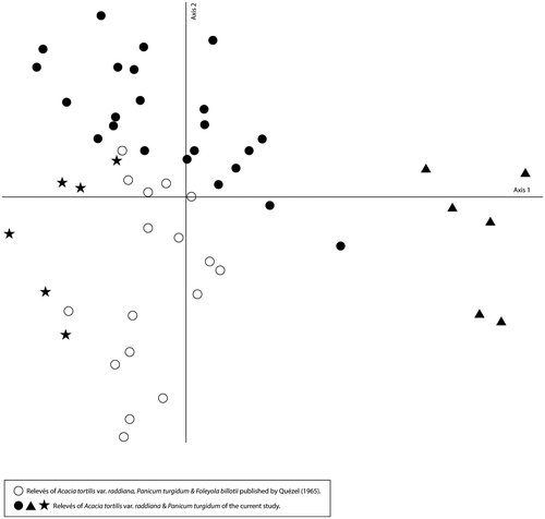 Figure 8. A comparative DCA of the Acacia tortilis var. raddiana, Panicum turgidum and Foleyola billotii association relevés (Current study vs. Quézel Citation1965).