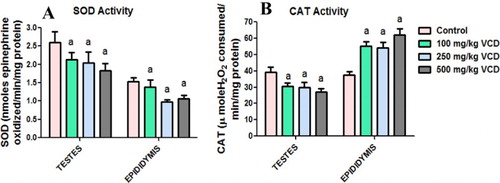 Figure 1. Superoxide dismutase (SOD) and catalase (CAT) activities in testes and epididymis following 28 consecutive days of VCD treatment in rats. Each bar represents mean ± SD of 10 rats. aP < 0.05 versus Control.