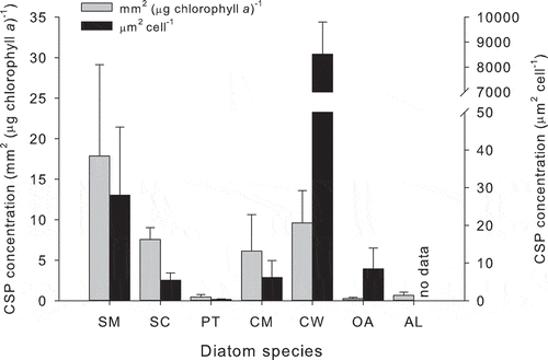 Fig. 1. Coomassie staining particle (CSP) concentration in diatom batch cultures at the end of the exponential growth phase after 7 days of growth in artificial seawater. The diatoms were Skeletonema marinoi (SM), Skeletonema costatum (SC), Phaeodactylum tricornutum (PT), Chaetoceros muelleri (CM), Coscinodiscus wailesii (CW), Odontella aurita (OA) and Achnanthes longipes (AL). Bars show mean + SD (n = 3 replicate cultures). Data collected by Michael Pohlen. CSP stained according to Long & Azam (Citation1996).