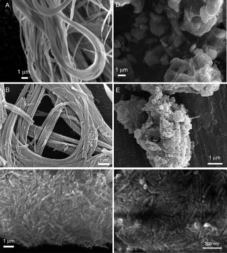 FIGURE 2. SEM image of natural and sonochemically modified chrysotile: Chrysotile fibers were untreated (A), leached with Ox for 21 h at 50°C (B), and sonicated for 21 h in deionized water (C). Synergistic effects of Ox and power US for 12 h (D) and 21 h (E) generate micrometric nonfibrous debris. Some rod-shaped nanocrystals, likely made of SiO2, are visible at higher magnification upon flat surfaces of chrysotile treated with Ox and US for 21 h (F).