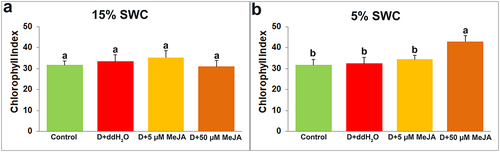 Figure 8. The effect of foliar applied MeJA on I. walleriana chlorophyll index at 15 (A) and 5% (B) SWC. SWC – soil water content. Results are presented as mean ± SE, with significant differences between treatments based on LSD test (p ≤ 0.05).