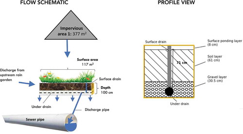 Figure 2. Flow schematic of site and model (not to scale), left, and profile view of the bio-retention layers, right. The impervious areas drain to the surface of each garden. Rain garden 1 can drain to rain garden 2 through surface runoff or under drain flow