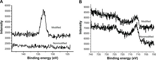 Figure 1 X-ray photoelectron spectroscopy to detect (A) phosphorus and (B) ironon nonmodified and polyallylamine bisphosphonate-modified steel surfaces demonstrates the appearanceof phosphorus after polyallylamine bisphosphonate treatment with persistent iron signals.