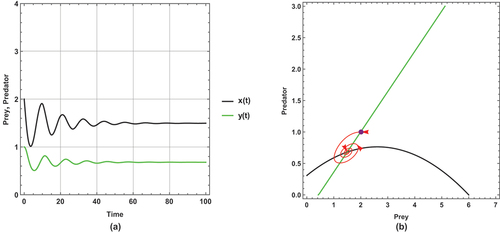 Figure 4. (a) Time series (b) nullclines and phase portrait trajectories of the first set of system (2) when (m=0). Other parametric and initial values are: r=1, k=6, α=3.25, h=0.40, u=0.5, e=0.4, x(0)=2, y(0)=1.