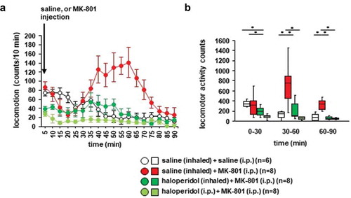 Figure 3. Effect of haloperidol inhalation on MK-801–induced locomotion Mice were pretreated with inhaled saline or haloperidol or i.p. with haloperidol 30 minutes before the MK-801 injection. a) After i.p. MK-801 administration, spontaneous locomotor activity of the mice was measured for each 5-minute period for 90 minutes in the locomotor activity test. b) The graphs show the total beam breaks for each 30-minute period after administration.