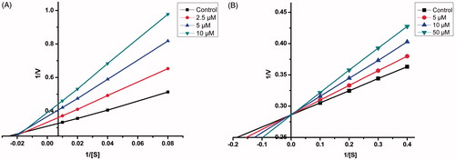 Figure 3. Kinetics of rat brain MAO-A inhibition by compound 21 and MAO-B inhibition by compound 4. (A) Lineweaver–Burk plot of the rat brain MAO-A catalysed oxidation of serotonin in the absence (control) and presence of various concentrations of compound 21 (2.5, 5, and 10 µM). (B) Lineweaver–Burk plot of the rat brain MAO-B catalysed oxidation of benzylamine in the absence (control) and presence of various concentrations of compound 4 (5, 10, and 50 µM). The rates (V) are expressed as nmol product formed/min/mg protein.