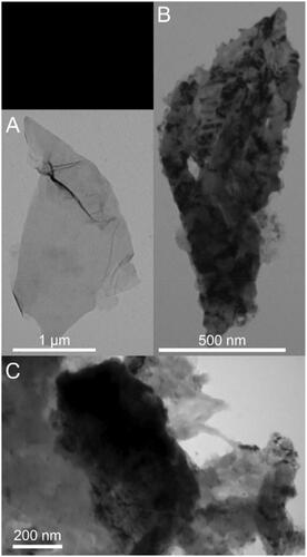 Figure 4. TEM images of GO (A) and GO–PEA–HA/Que (B and C).