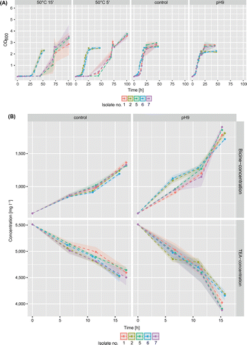 Figure 5. (A) Growth curves of five selected biofilm isolates (1, 2, 5: Alcaligenes faecalis; 5, 7: Pseudomonas pseudoalcaligenes) grown at 50°C for 5 or 15 min or that were grown under elevated pH compared to the control. (B) Concentration changes of TEA and bicine during exponential growth.