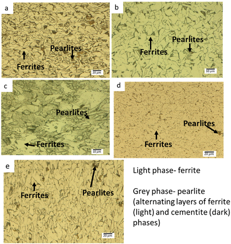 Figure 1. Optical micrographs of the samples (a) LPG-C1, (b) LPG-C2, (c), LPG-C3, (d) LPG-C4 and (e) LPG-C5.