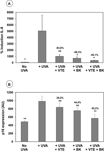 Figure 2 Quantitative analyses of the effects of BK+VTE combination on IL-8 and p16 immunolabelling. (A) IL-8 quantification from representative pictures obtained from 3 independent donors. Results are expressed in % induction IL-8 mean ± SEM. Statistics were performed using one-way ANOVA completed by a Dunnett’s vs non-treated UVA. ns p>0.05; *p<0.05. % indicates active ingredient protection. (B) p16 quantification from representative pictures obtained from 3 independent donors. Results are expressed in p16 expression arbitrary unit (AU) mean ± SEM. Statistics were performed using a one-way ANOVA completed by a Dunnett’s vs non-treated UVA. ns p>0.05; **p<0.001. % Indicates active ingredient protection.