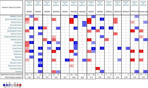 Figure 2. mRNA levels of MS4A family genes in different cancer. The figure demonstrates the numbers of mRNA datasets of MS4A family genes in different cancers. Determined according to the following numerical thresholds: p-value ≤ 0.001, fold change ≥2, and gene ranking of all.