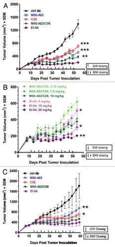 Figure 7 In vivo superior efficacy of EI-04 in two xenograft models. (A) Efficacy of EI-04 at 20 mg/kg in comparison to M60-A02 or C06 dosed at 15 mg/kg as single agents or in combination in the BxPC3 pancreatic cancer model. (B) Efficacy of EI-04 at 20 mg/kg, 10 mg/kg and 5 mg/kg in comparison to the M60-A02/C06 combination dosed at 15 + 15 mg/kg, 7.5 + 7.5 mg/kg and 3.75 + 3.75 mg/kg in the BxPC3 pancreatic cancer model. (C) Efficacy of EI-04 at 20 mg/kg in comparison to M60-A02 or C06 dosed at 15 mg/kg as single agents or in combination in the GEO colon cancer model. Tumor-bearing mice were given intraperitoneal administration of a control IgG (ctrl Ab, 5C8), M60-A02 and EI-04 twice a week (BIW) or C06 once a week (QW). The dosing schedules are indicated on the x-axis. The mean tumor volumes from each treatment group of approximately 10 mice were plotted as a function of time. The differences in the tumor growth rate between the mAb treatment groups and the EI-04 group dosed at the equal molar doses were indicated by *p < 0.05, **p < 0.01 or ***p < 0.001, if they are statistically significant as determined by one-way ANOVA.