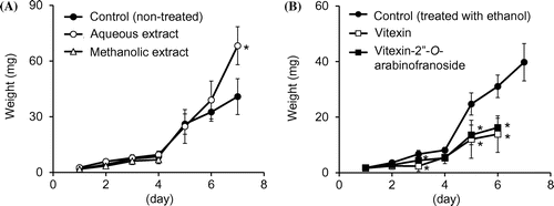 Figure 2. Effects of extracts (A) and flavonoids (B) of B. alba leaves on weight gain by S. litura larvae (mean ± SD, n = 13–15). The concentration of each flavonoid in a piece of leaf was 200 ng/mg. An asterisk next to the value indicates a significant difference from the control (non-treated or ethanol-treated leaves) on the same day (p < 0.01 Student’s t-test).