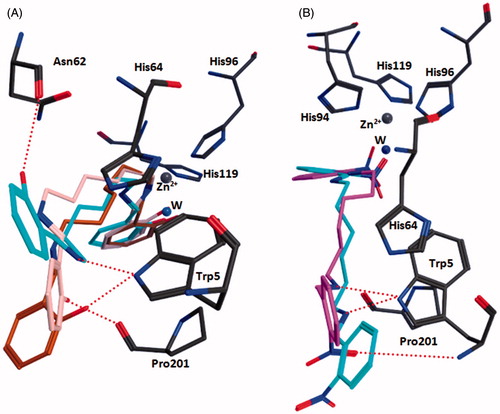 Figure 2. Docked poses of compounds 5A (panel A) and 8A (panel B) within the active site of hCA XII. Hydrogen bonds are indicated with dotted red lines.
