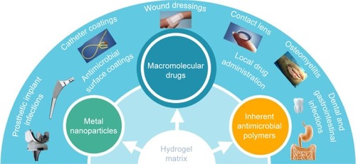 Figure 1 The different applications of hydrogels.