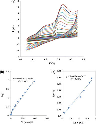 Figure 4 (a) CVs of Nanosilica–SO3H /GCE in the presence of 0.45 mM mitoxantrone + 0.05 M Tris–HCl (pH 7.4) in different scan rates (from inner to outer): 2, 5, 10, 20, 30, 40, 50, 60, 70, 90, 100, 150, 200, 250, 300, 350, 400, 450, 50, 600, 700, 800, 900, and 1000 mV s−1, respectively. (b) Peak currents vs. sweep rate (c) Peak potential vs. Neperian logarithm of sweep rate